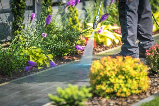 Best Patio and Deck Pressure Washing  in Blennerhassett, WV