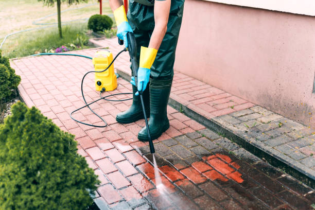 Best Fence Cleaning  in Blennerhassett, WV