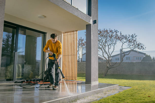 Best Sidewalk and Walkway Cleaning  in Blennerhassett, WV